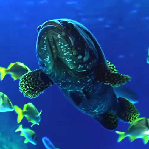 Sea Life Centre TV & Cinema Adverts