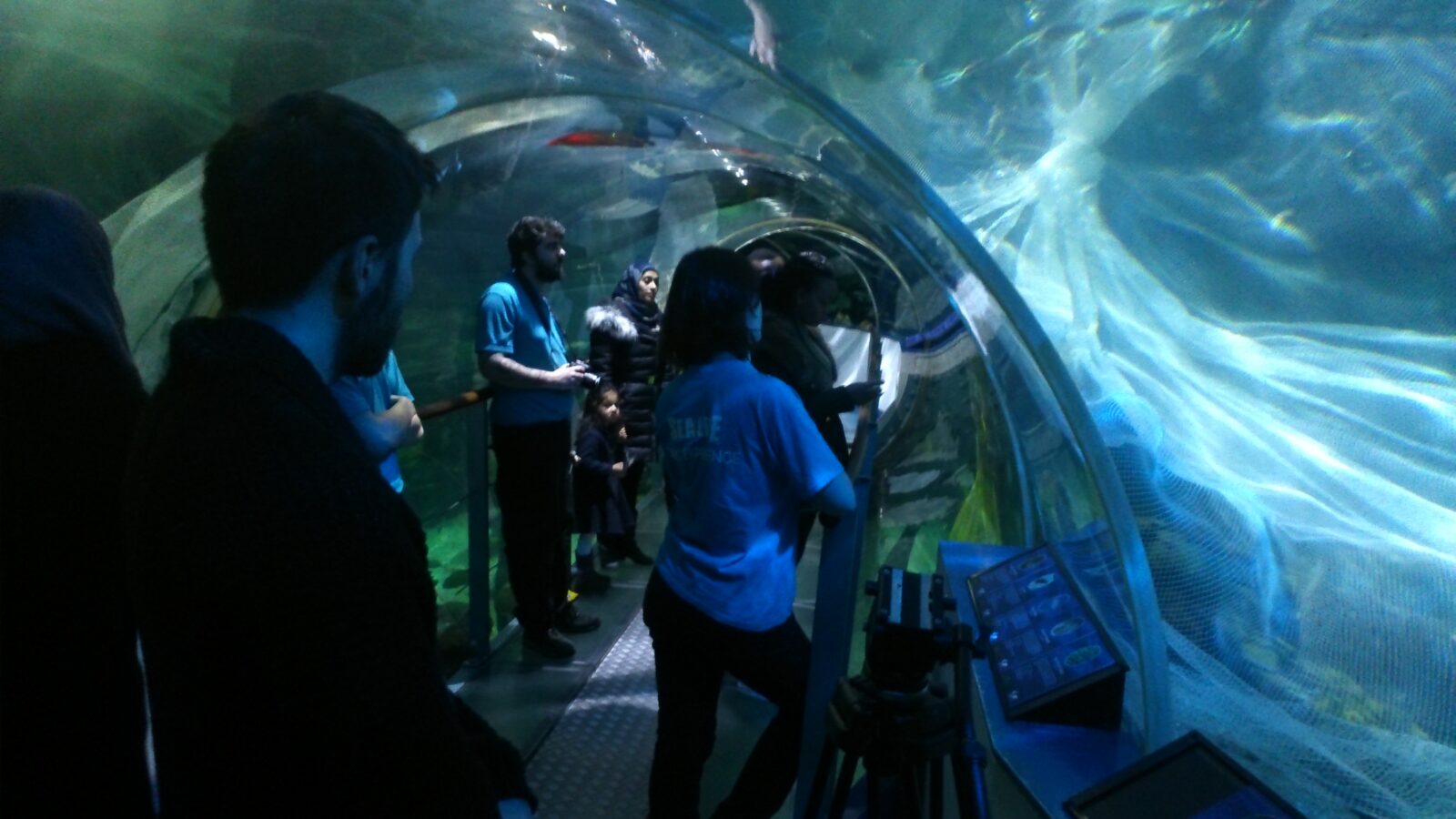 Shark Filming At Sea Life Centre Birmingham