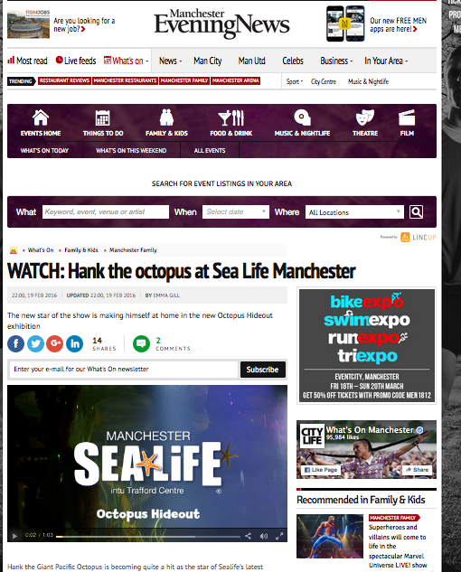Octopus Video Filmed At Sea Life Manchester