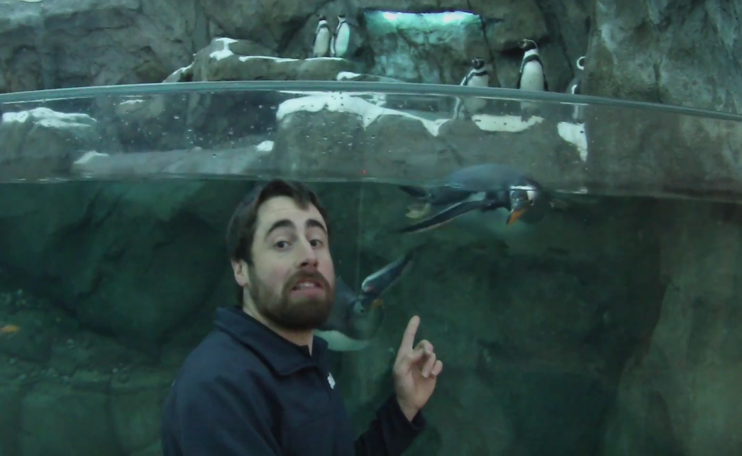 Social Media Video For Sea Life Centre