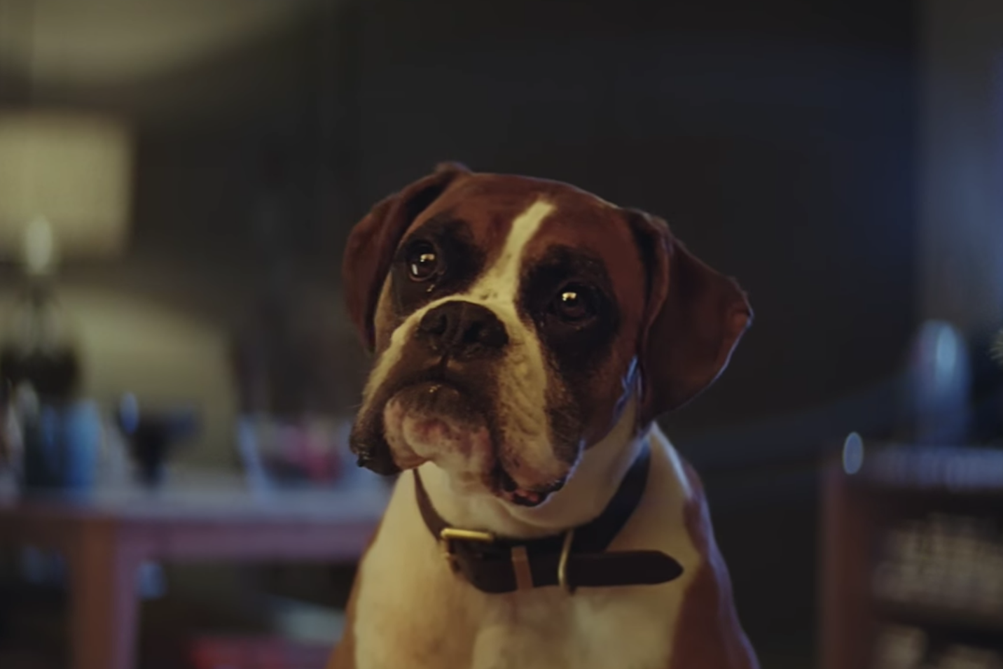 Christmas Adverts 2016