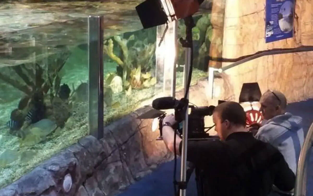 Two men from CMA video filming at the Sea life centre