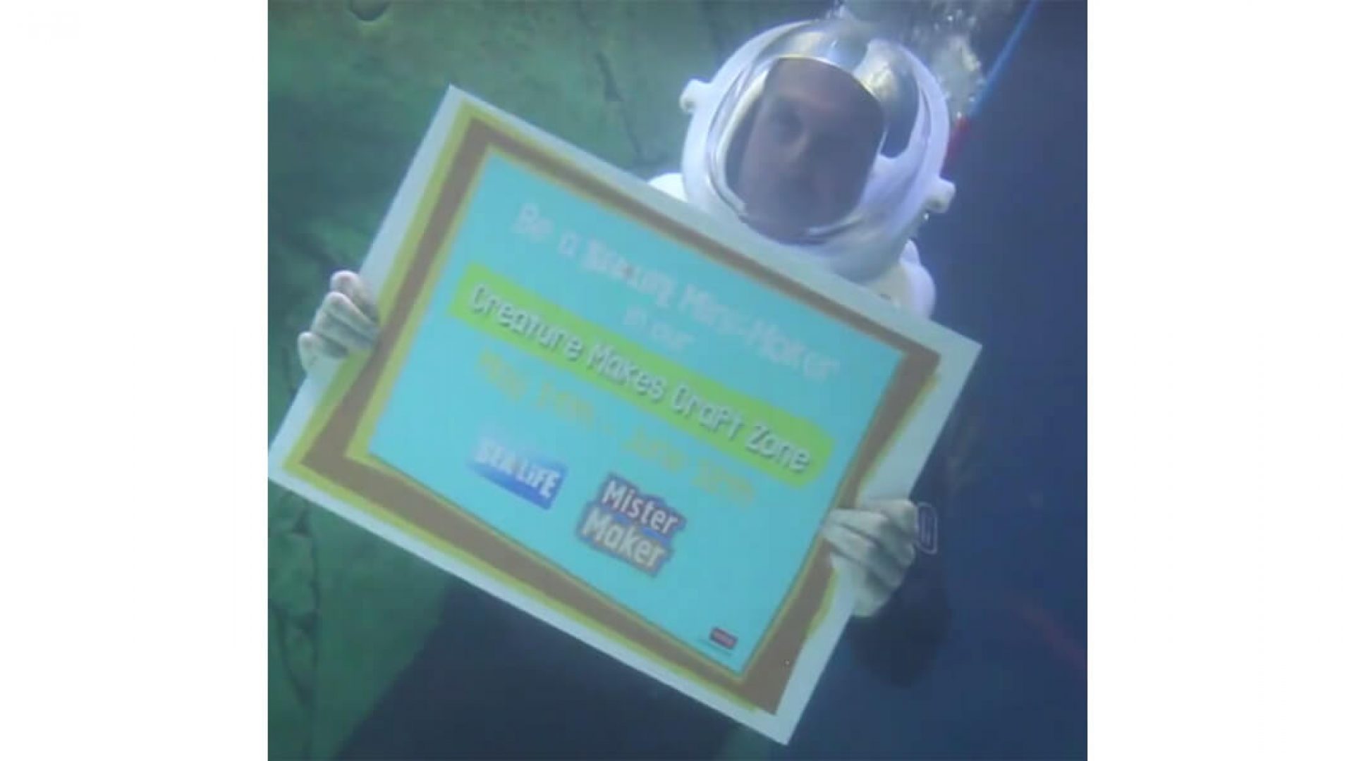 Social Media Video Campaign For Sea Life Centre
