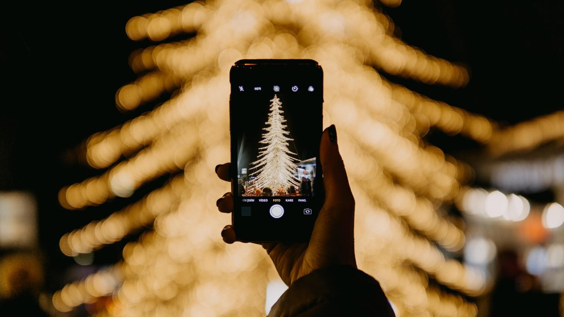 Taking a Photo of a Christmas Tree